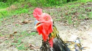 Do You Want To Go Around Village With Us, Come On fatima28