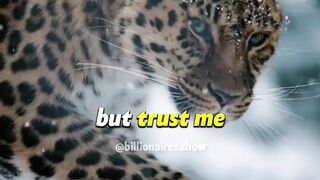 Attitude