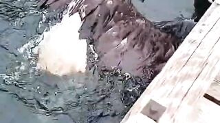 Rescue  ????