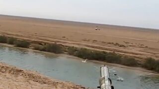 Duck hunting