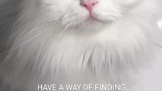 Finding