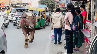 Ye kya ho raha hai Aaj kal..