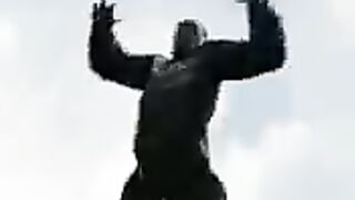 King Kong fight Godzilla