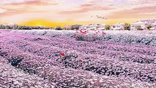Love diffused in the sea of flowers, romantic statement of tenderness ~
