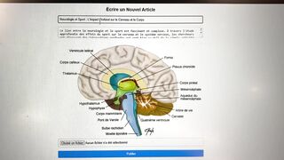 Site d’ article application