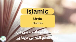 Quotes.Quotes,