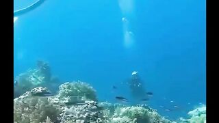 So this is what an earthquake looks like underwater