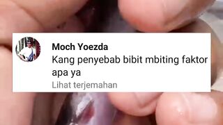 Apa penyebab ikan lele MBITING (badan kurus kepalanya besar)