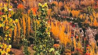 Nature Beauty of Hunza Valley Gilgit Baltistan