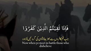 Quran # #quran #trending #viral #shahzor #shorts #fespot # iNFO