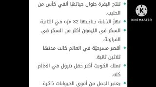 معلومات