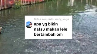 Apa yang membuat NAFSU MAKAN ikan lele MENINGKAT❓