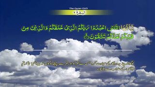 Surah 2 Al baqarah Ayat No 21-29 Ruku No 3 Word by word learning Quran in video in 4K