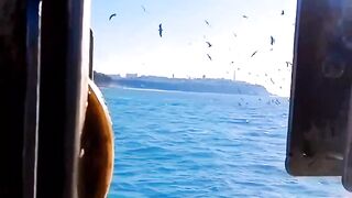 رحلات صيد الاسماك البحريه