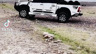 Car ???? video Ra Real da