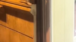 Smart cats open doors funny video