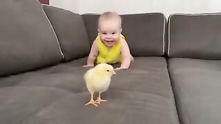 Cute Baby Try To Catch Chicks ◎[▪‿▪]◎(●'◡' ●) No ♥︎