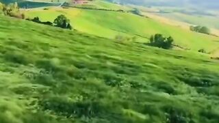 Place