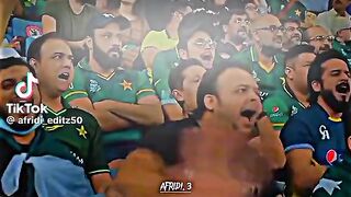 Cricket lover