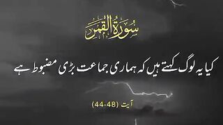 Please_Repost_My_Video__Follow_For_More