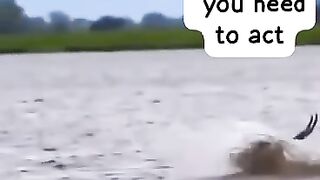 So funny,  just watch