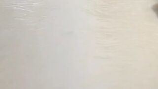 Barish