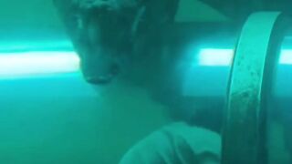 Underwater tunnel with a giant crocodile