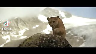 Voir le vidéo jusqu'au fin