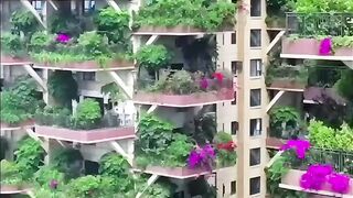 Amazing house video