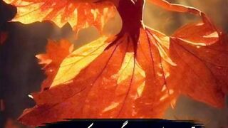 Urdu Quotes