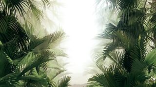 Walking through tropical plants and fog - adalinetv