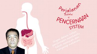 Sistem Pencernaan dalam Tubuh Kita