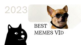 Best  Memes Videos