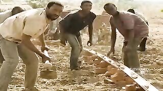 "The Boy Who Harnessed the Wind"