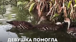 ВСЕ ОЩЕ СТАВАТ ЧУДЕСА