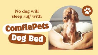 Dog Bed