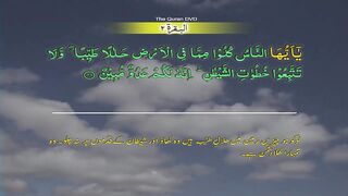 Surah 2 Al baqarah Ayat No 168-176 Ruku No 21 Word by word learning Quran in video in 4K