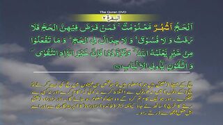Surah-2 Al baqarah Ayat No 197-210 Ruku No 25 Word by word learning Quran in video in 4K
