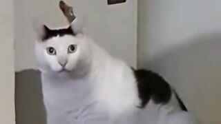 Крім