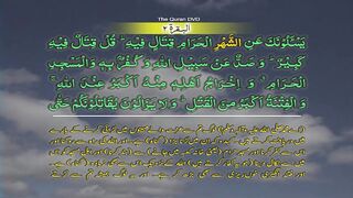 Surah-2 Al baqarah Ayat No 217-221 Ruku No 27 Word by word learning Quran in video in 4K