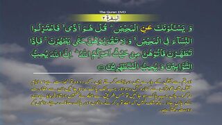 Surah-2 Al baqarah Ayat No 222-228 Ruku No 28 Word by word learning Quran in video in 4K