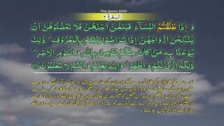 Surah-2 Al baqarah Ayat No 232-235 Ruku No 30 Word by word learning Quran in video in 4K_2