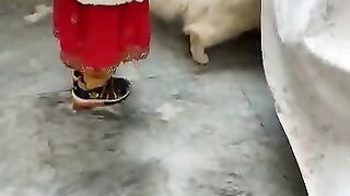 Sweet doll