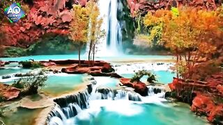 ﷺﷺﷺﷺﷺﷺﷺ