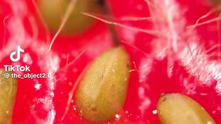 Micro lens