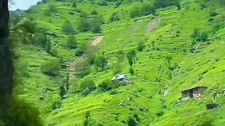 Beautiful green pakistan video 2024