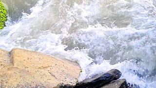 Nature's Symphony: A Journey of Discovery