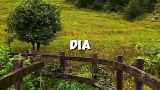 #BomDia????♥️