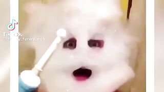 Funny viral video subscribe me