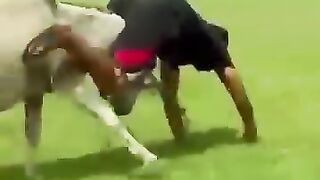 Funny video very funny clips